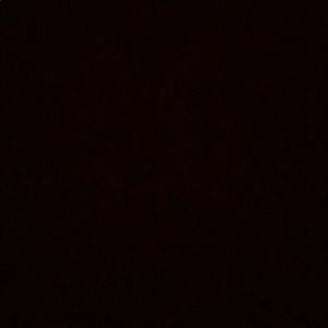 Meet your Posher, Luis